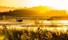 生活中处处有美