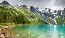 身边的风景读后感