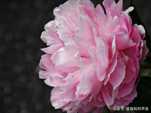 结识知己的幸福