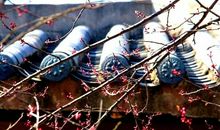 暮春时节雨纷纷