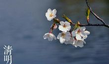 无处不在的暮春