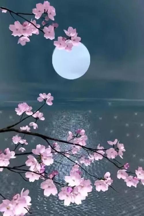 团圆和团圆