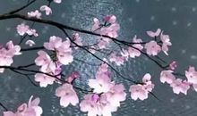 心有明月团圆升