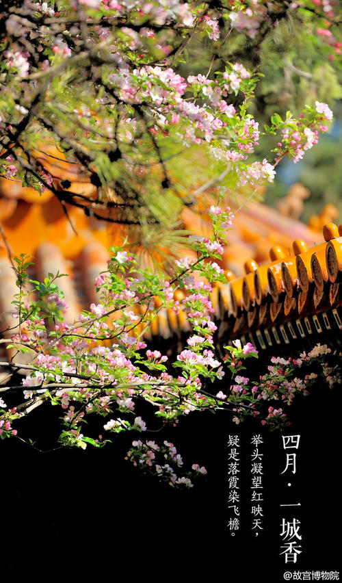 春季风度