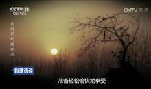 与诗词相伴的日子