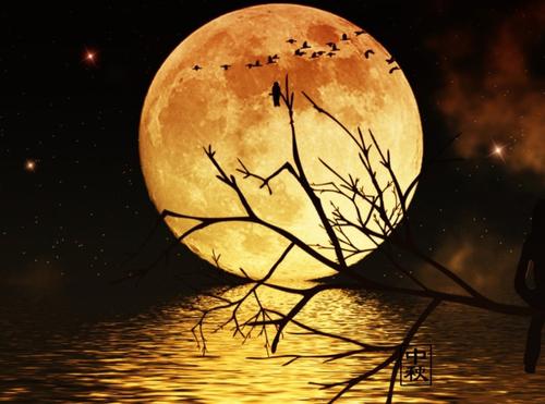 老师给我的生活加温