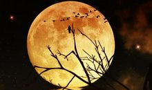 老师温暖了我的岁月