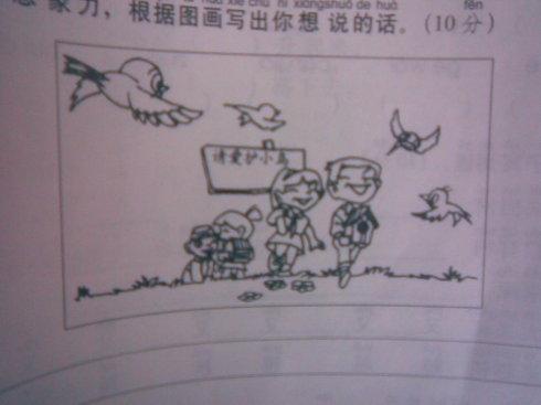 看着镜子里的小狗