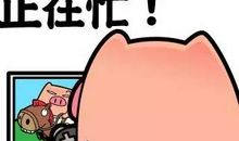 一个忙碌的周末