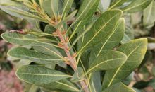 关于晨跑的作文