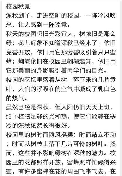 描述荷花的构图