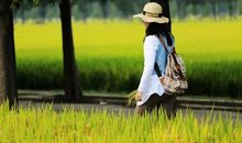 成长的路上有我们陪伴