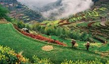 这就是一道风景