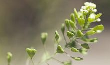 是真情让春天来