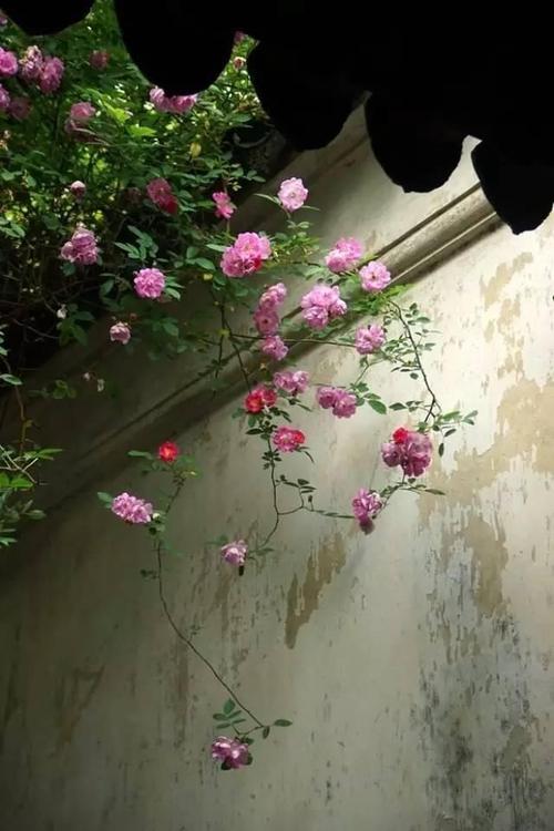 在生活的道路上品尝墨水的芬芳