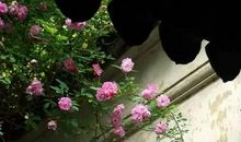 细品人生路上的墨香