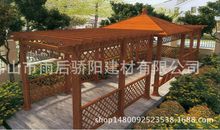 姥姥家的葡萄架