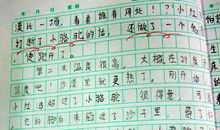 续写小骆驼又见小红马