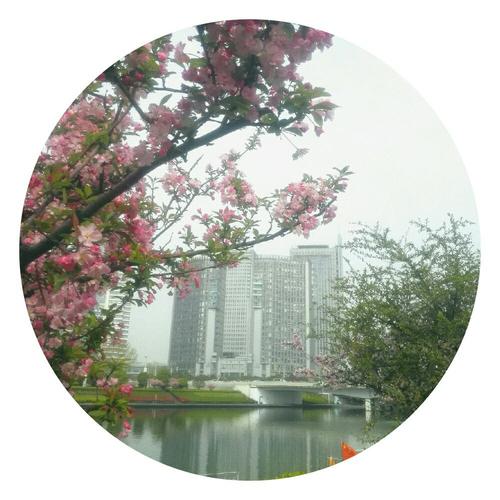 参观春天