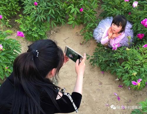 一种不同的母亲节