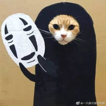不要再胆小了