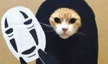 不再胆小的感觉真好