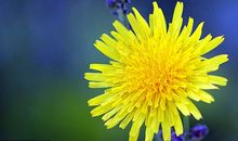 当那一束阳光来敲门