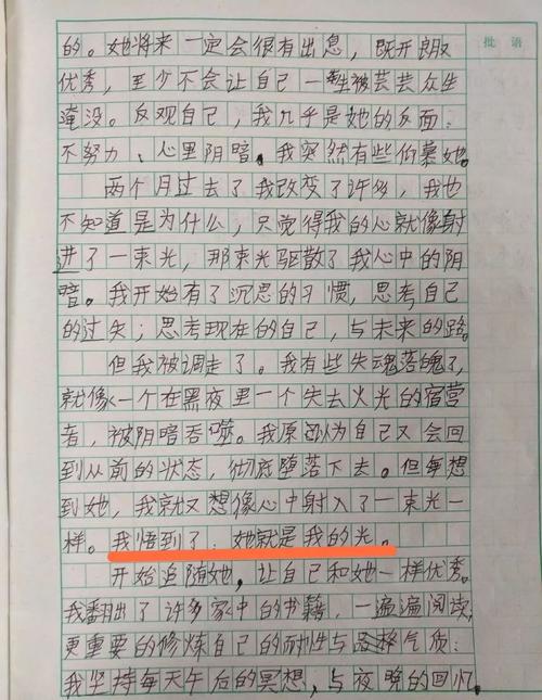小学三年级上写花作文