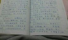 贪玩的小猫作文二年级