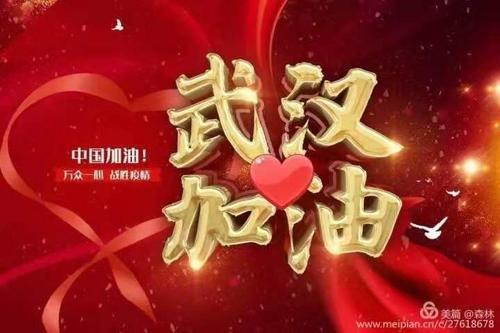 抵御武汉流行病，加油