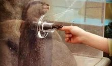 三代人小时候玩的圈