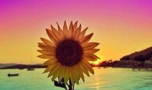 世间自有温情在