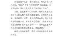 鸵鸟的自述作文