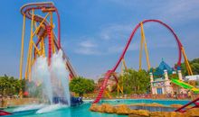 飞鸟乐园快乐游