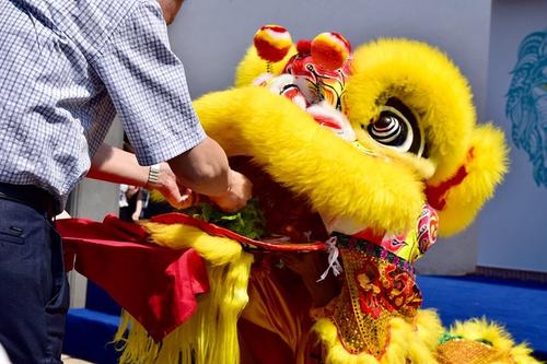 真诚的