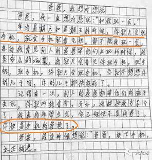 爸我想跟你说个500字的作文