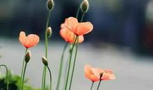 时间让我懂得了珍惜