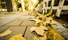 遇见秋风邂逅你