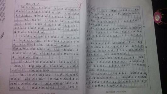 顽皮派领袖张明的王汉兵作文