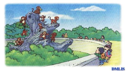 小猴子的学习技巧，看图片和构图