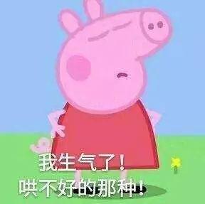 顽皮的猪