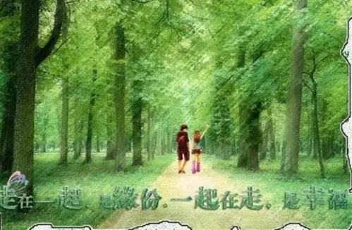 我和你一起走的路