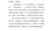 描写葡萄的作文二年级