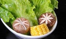 我喜欢吃的蔬菜