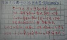 我的作文故事与经验