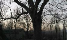 让我震撼的一幕