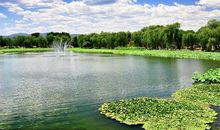 美丽的乡村鱼塘