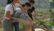 第一次去地干活