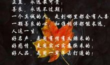 与善良相伴的日子