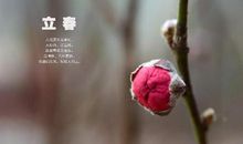 给我一个温暖的问候就好